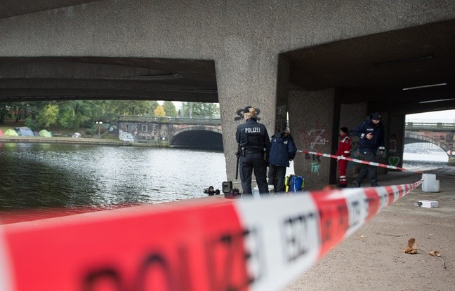 Allemagne: Daesh revendique le meurtre d’un ado à Hambourg - ảnh 1